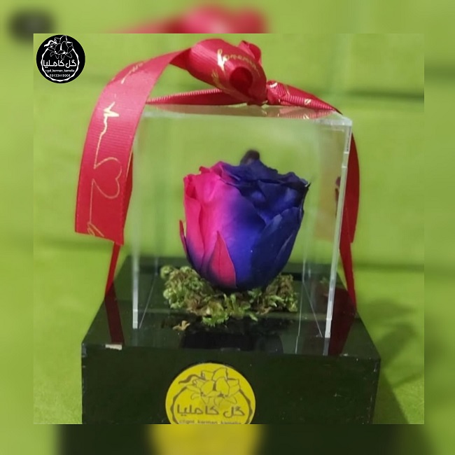 گل فروشی در پارک مطهری کرمان