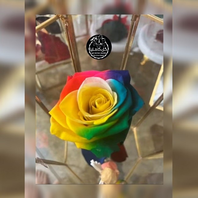 گل فروشی در پارک مطهری کرمان