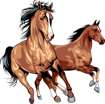 عبدالمجید چرامکانی سرموری