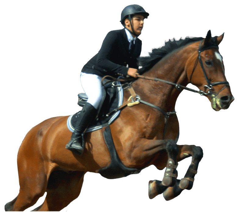 باشگاه اسب سواری شیراز