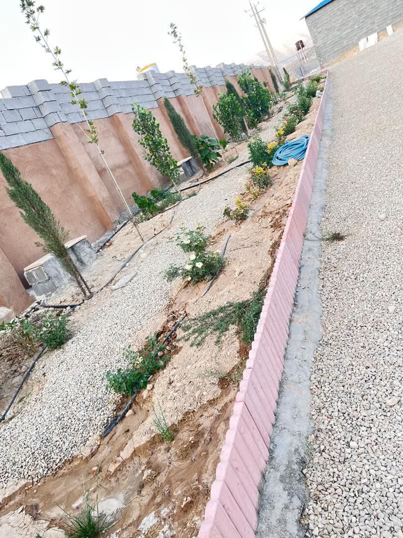 محیط باشگاه