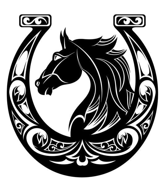 باشگاه اسب سواری شیراز