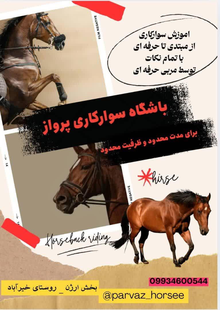 باشگاه اسب سواری شیراز