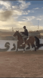 باشگاه اسب سواری شیراز