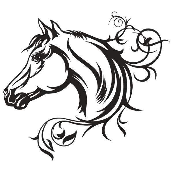 عبدالمجید چرامکانی سرموری