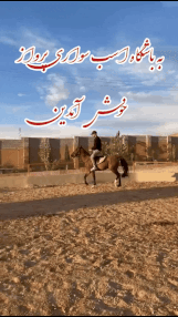 باشگاه اسب سواری شیراز