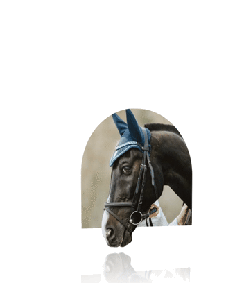 باشگاه اسب سواری شیراز