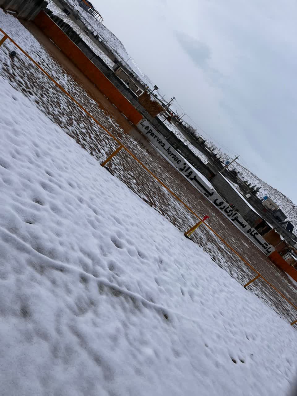 باشگاه اسب سواری شیراز