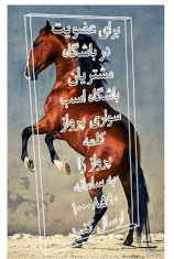 باشگاه اسب سواری پرواز شیراز