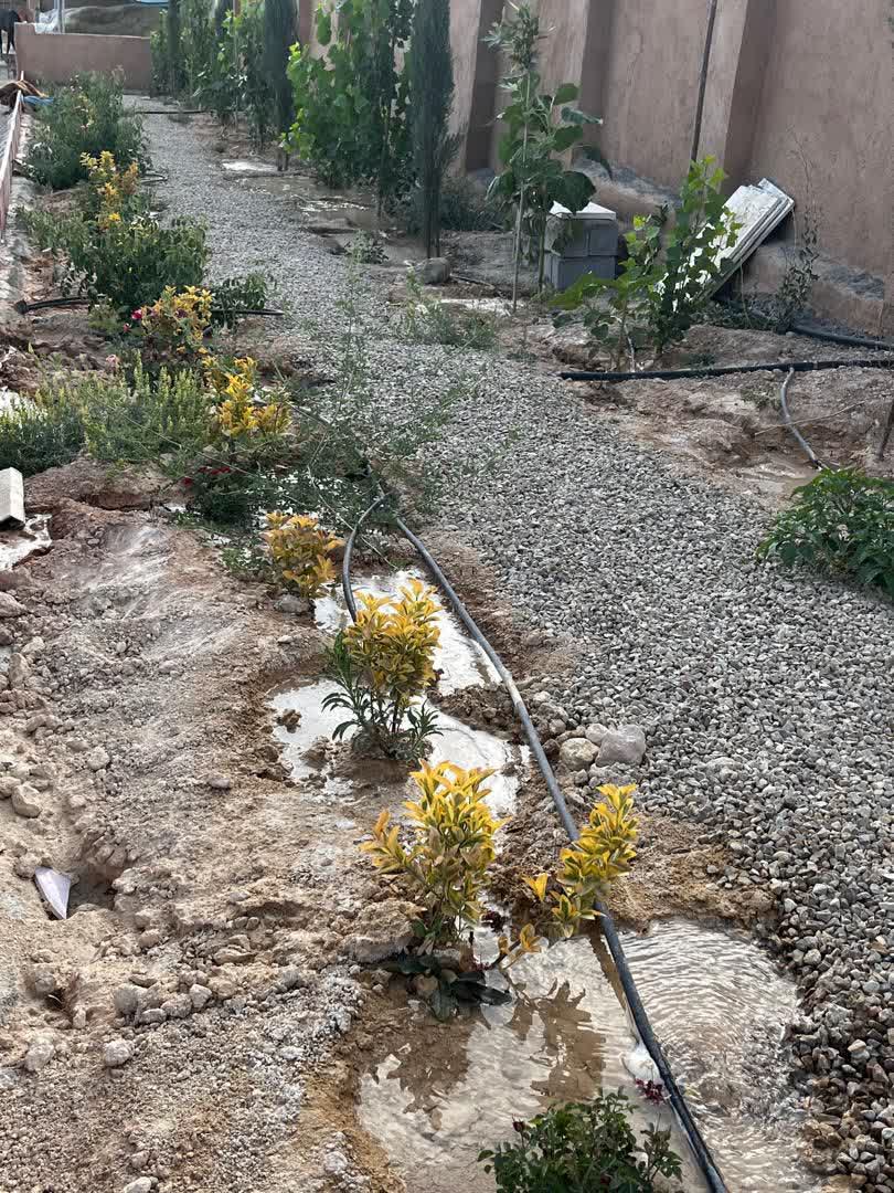 باشگاه اسب سواری شیراز