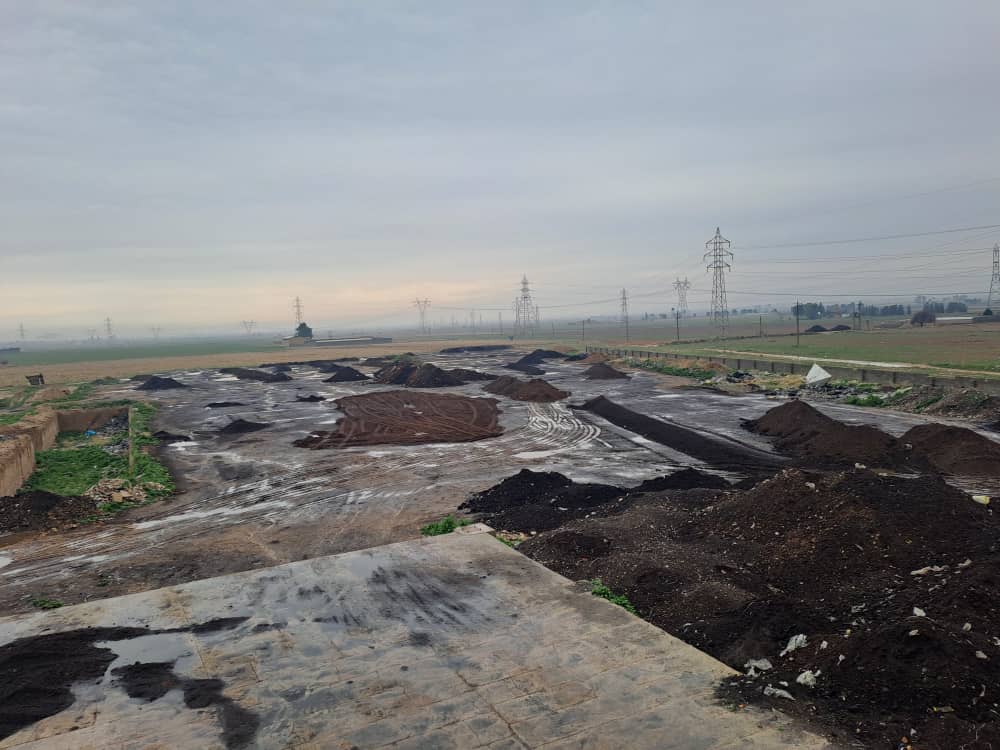 گروه تولیدی آبنوس