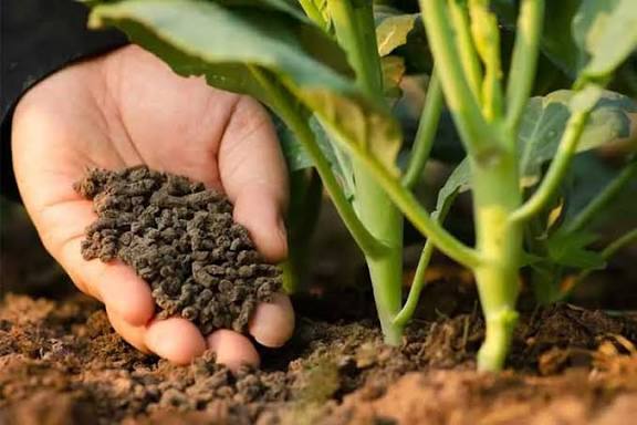 خرید بهترین کمپوست ایران