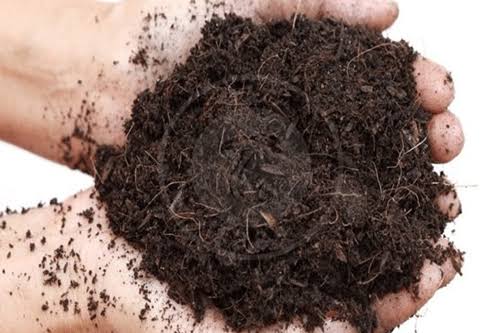 خرید بهترین کمپوست ایران