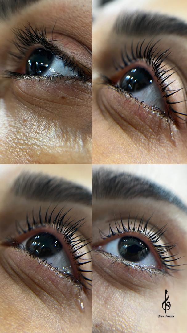 پیگمنتر حرفه ای در میبد