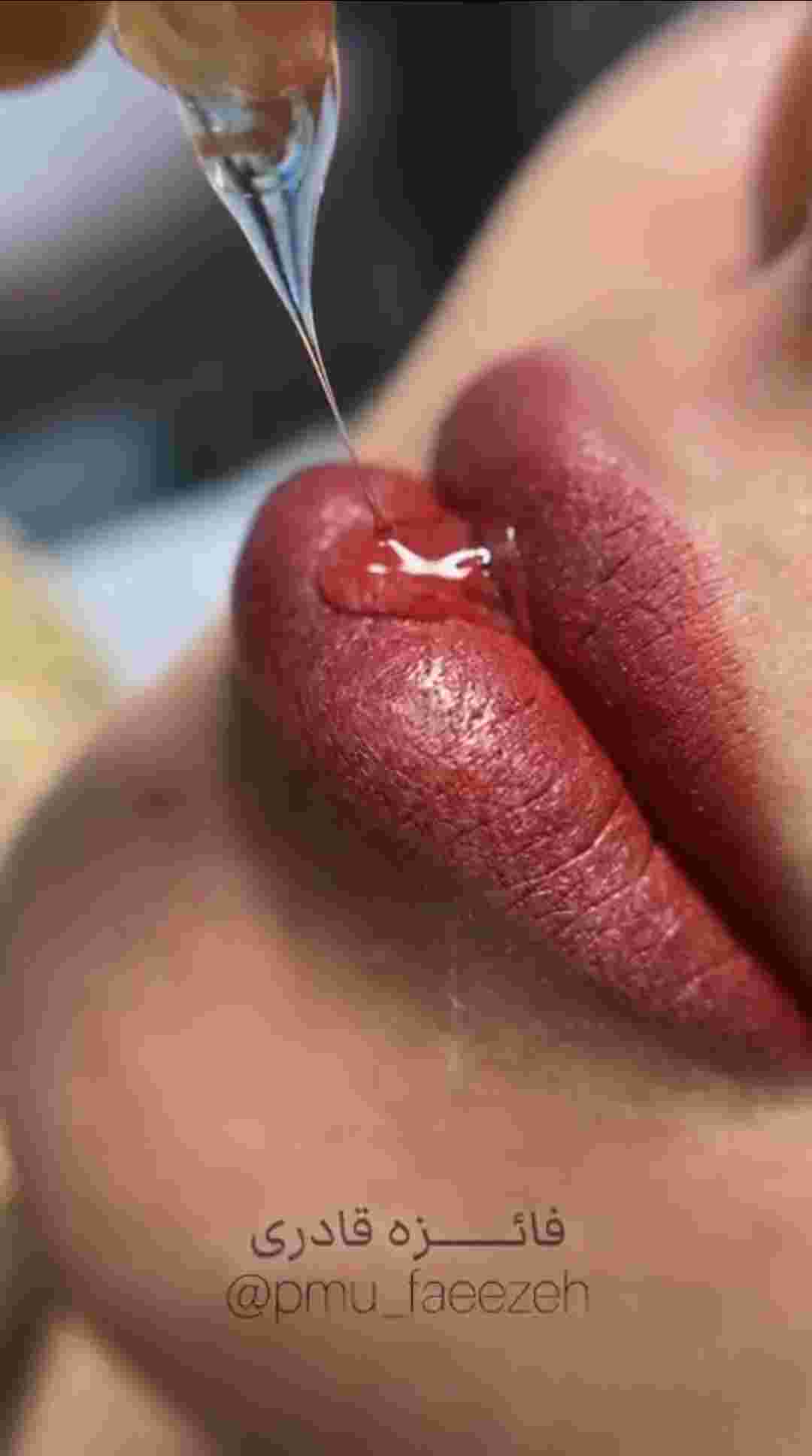 پیگمنتر حرفه ای در میبد