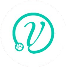 محلول های الکترولیت در درمان اسهال بره 