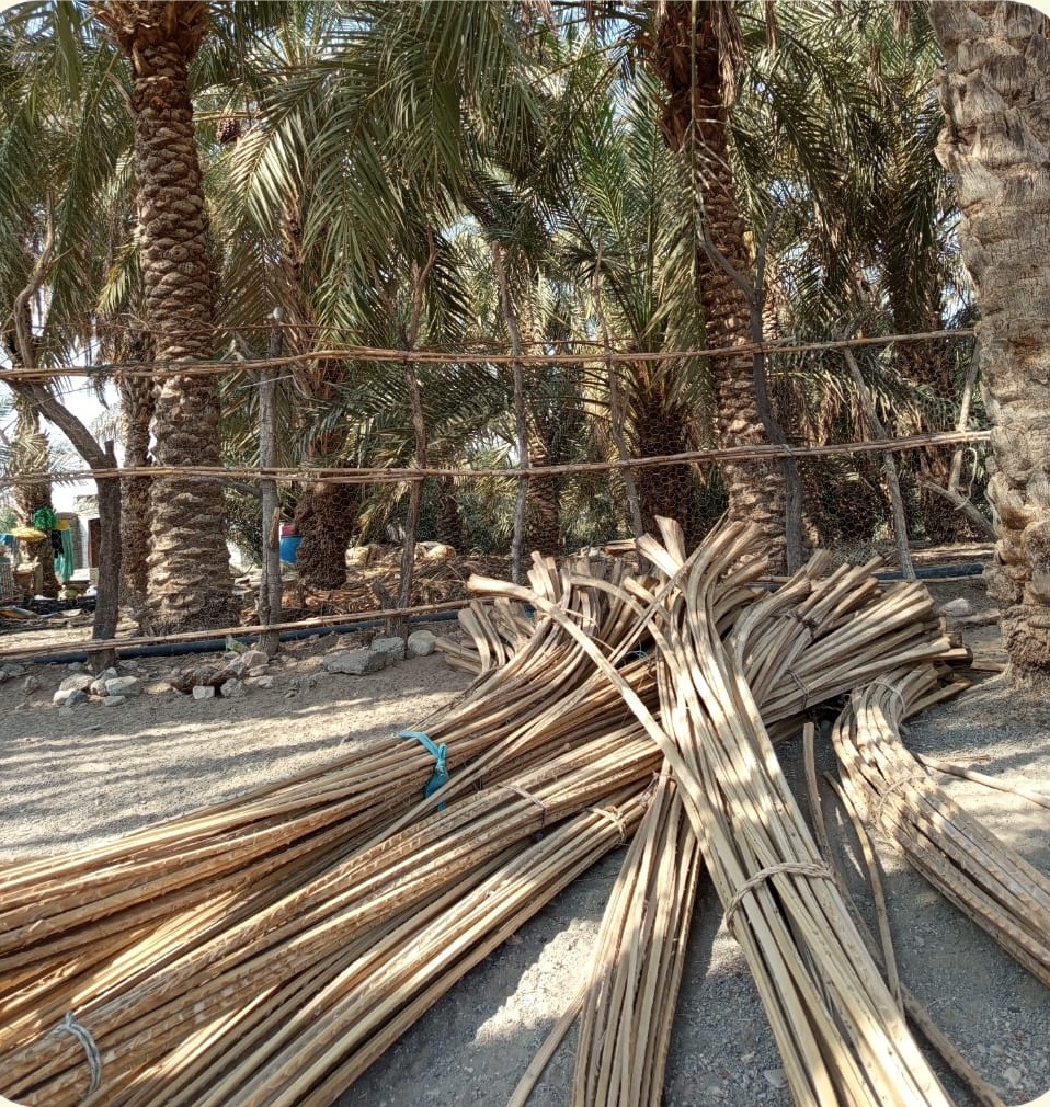 الاچیق سنتی در چابهار