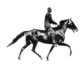 عبدالمجید چرامکانی سرموری