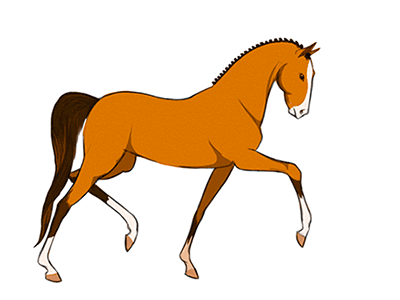 عبدالمجید چرامکانی سرموری