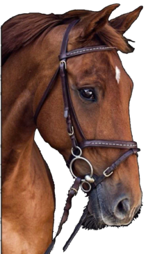 عبدالمجید چرامکانی سرموری