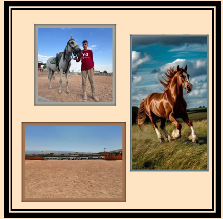 آموزش سوار کاری در فارس