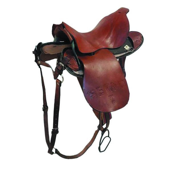 آموزش سوار کاری در فارس