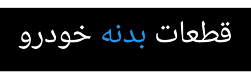 عباس شندواری بوربور