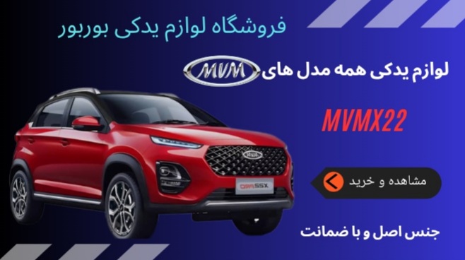 عباس شندواری بوربور