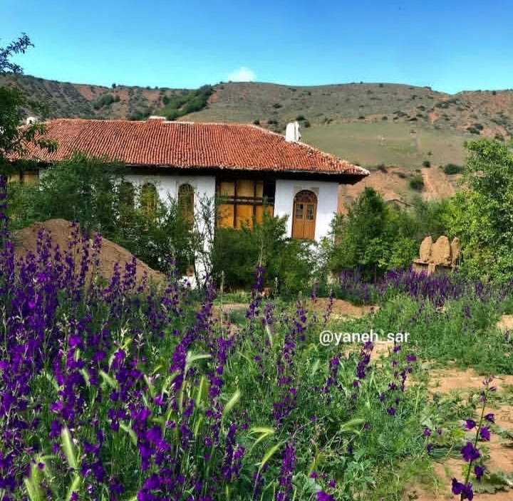 بهترین روستا هزارجریب