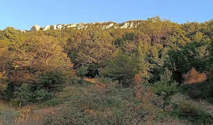 بهترین روستا هزارجریب