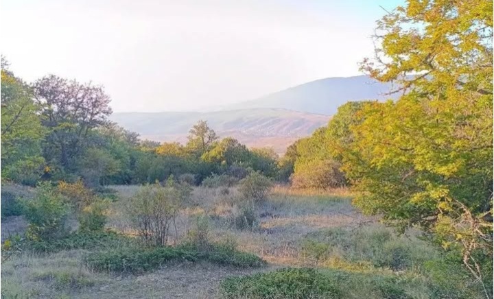 بهترین روستا هزارجریب