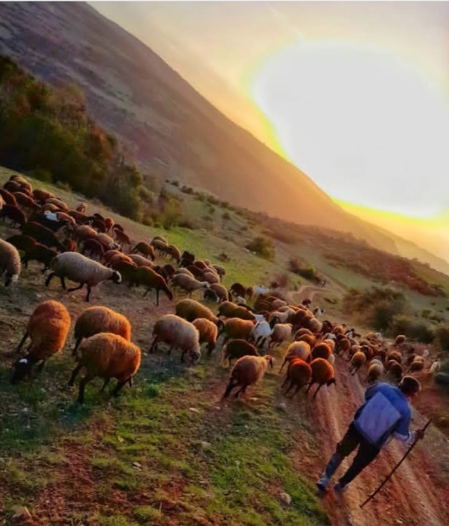بهترین روستا هزارجریب