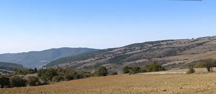 بهترین روستا هزارجریب