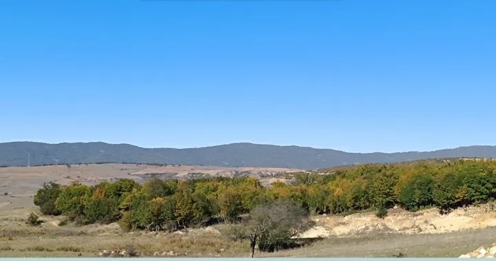 بهترین روستا هزارجریب