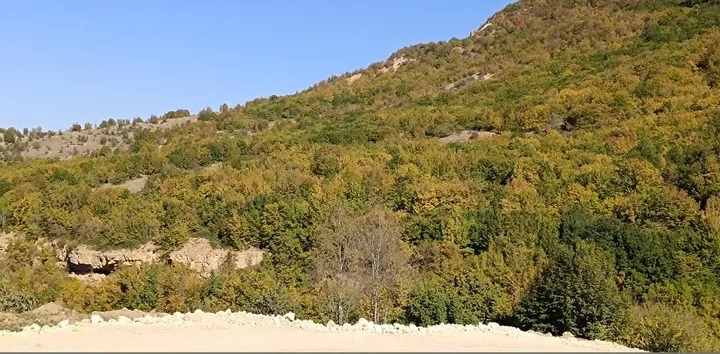 بهترین روستا هزارجریب