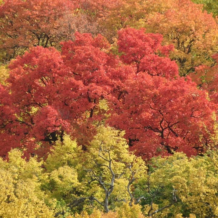 بهترین روستا هزارجریب