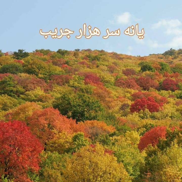 بهترین روستا هزارجریب