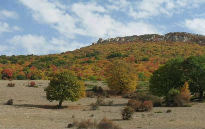 بهترین روستا هزارجریب
