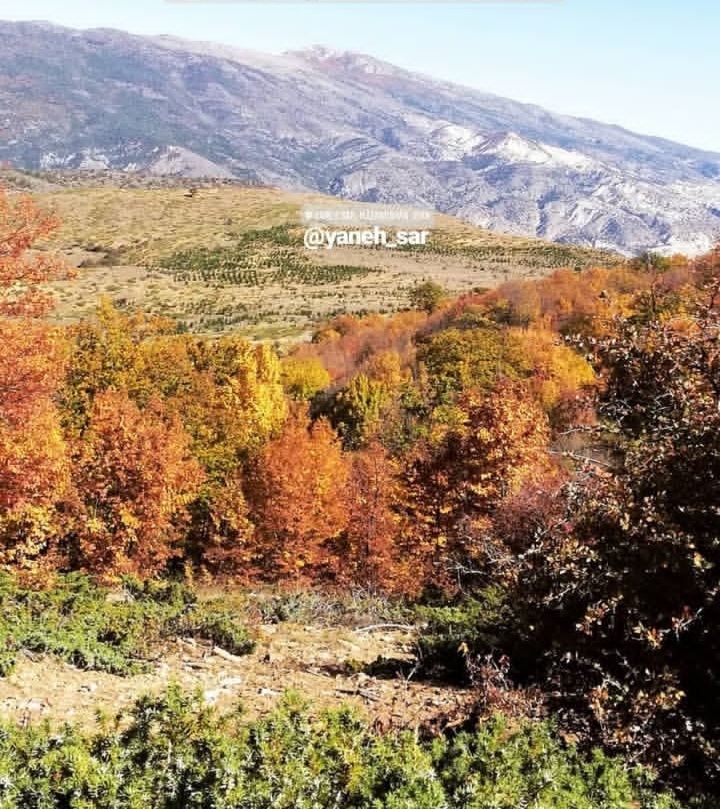 بهترین روستا هزارجریب