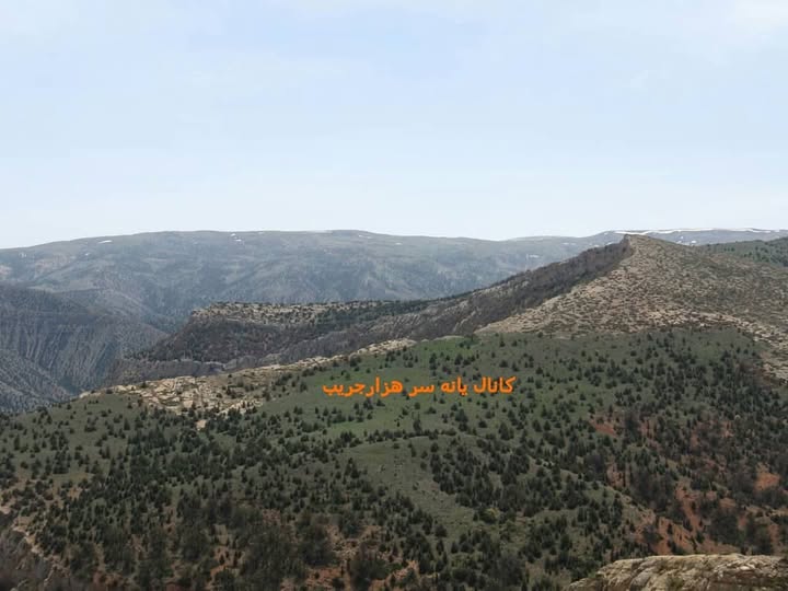 بهترین روستا هزارجریب