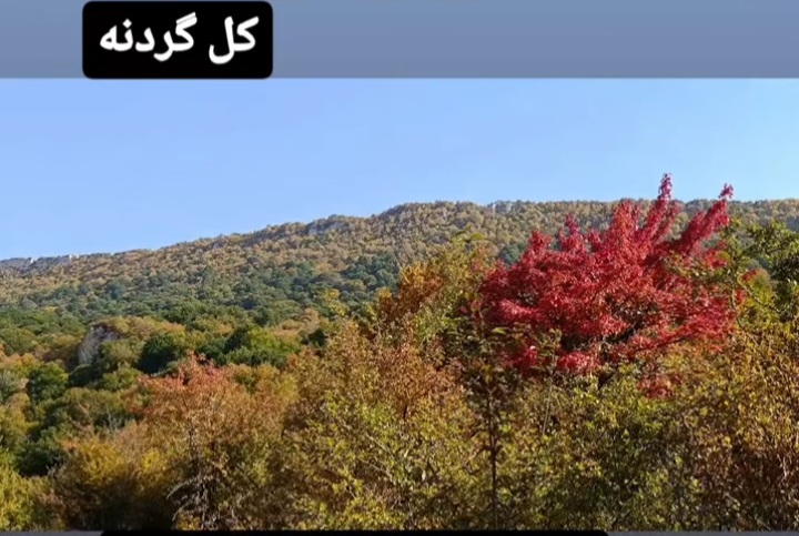 بهترین روستا هزارجریب