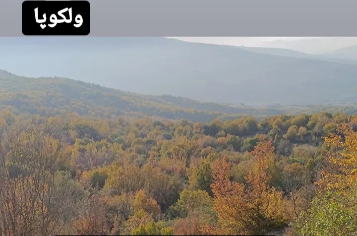 بهترین روستا هزارجریب