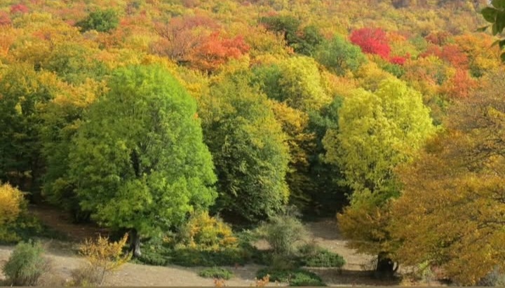 بهترین روستا هزارجریب