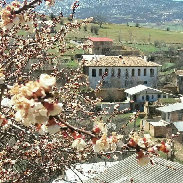 بهترین روستا هزارجریب