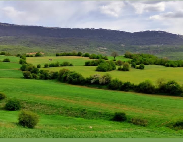 بهترین روستا هزارجریب