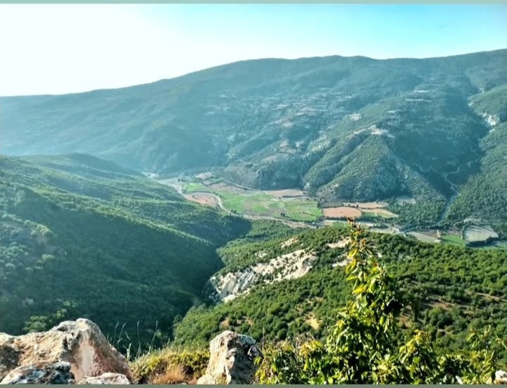 بهترین روستا هزارجریب