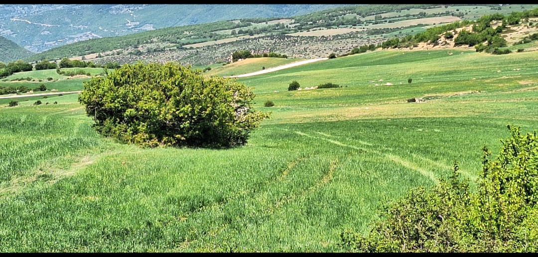 بهترین روستا هزارجریب