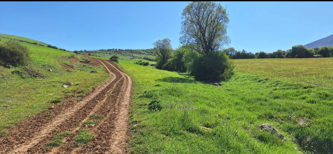 بهترین روستا هزارجریب