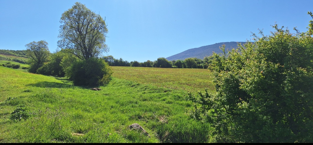 بهترین روستا هزارجریب
