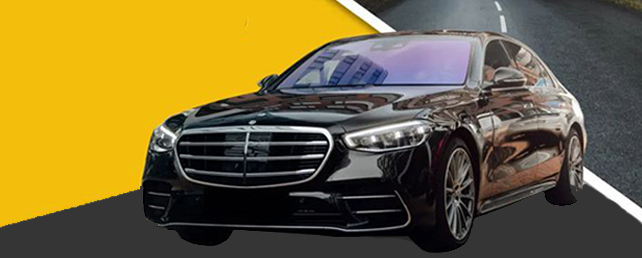 محمد رضا سلیمانی